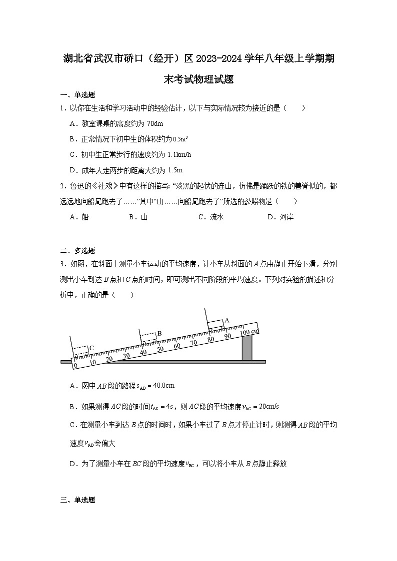 2023-2024武汉市硚口（经开）区八年级上学期期末考试物理试题第1页