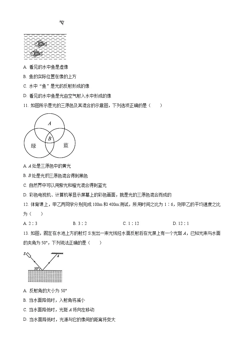 福建省漳州市龙海区漳州台商区第一中学八年级上学期11月期中物理试题（原卷版）-A4第3页