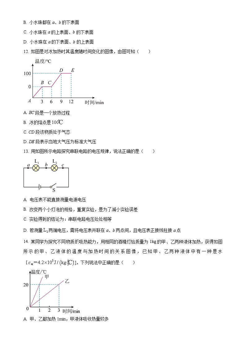福建省漳州市诏安片区九年级上学期期中考试物理试题（原卷版）-A4第3页