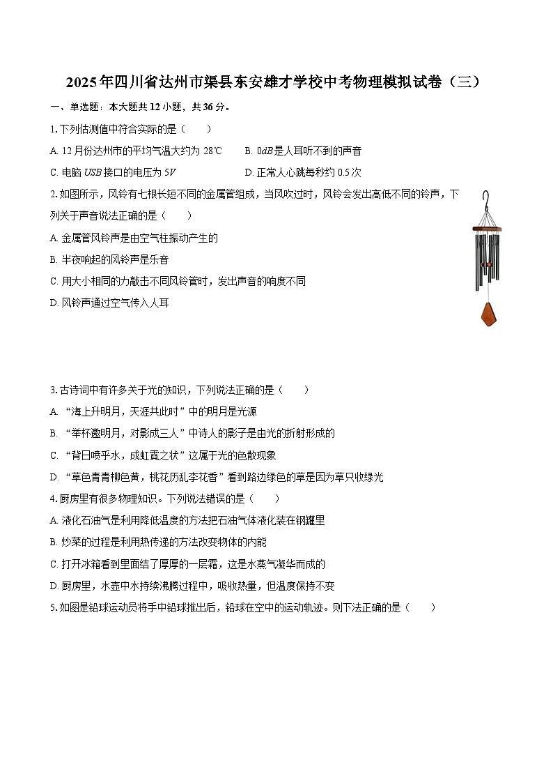 2025年四川省达州市渠县东安雄才学校中考物理模拟试卷（三）-自定义类型第1页