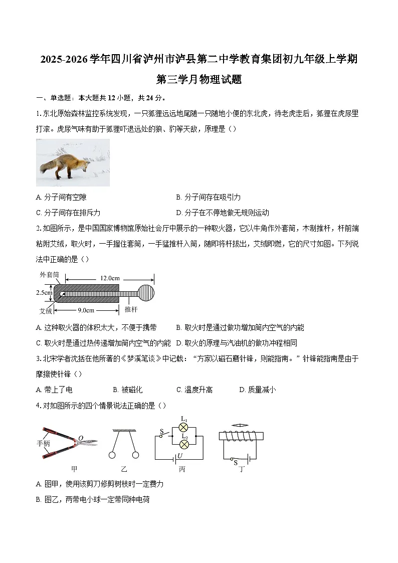 2025-2026学年四川省泸州市泸县第二中学教育集团初九年级上学期第三学月物理试题-自定义类型第1页