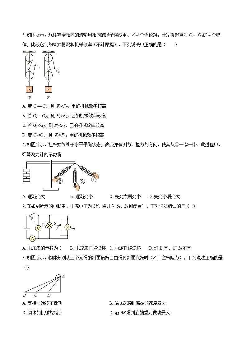 2024-2025学年江苏省南通市海门区东洲国际学校九年级（下）5月月考物理试卷-自定义类型第2页