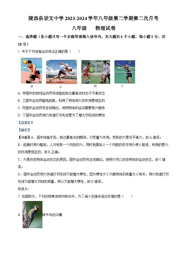 甘肃省定西市陇西县八年级下学期5月月考物理试题（解析版）-A4第1页