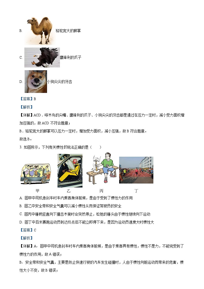 甘肃省定西市陇西县八年级下学期5月月考物理试题（解析版）-A4第2页