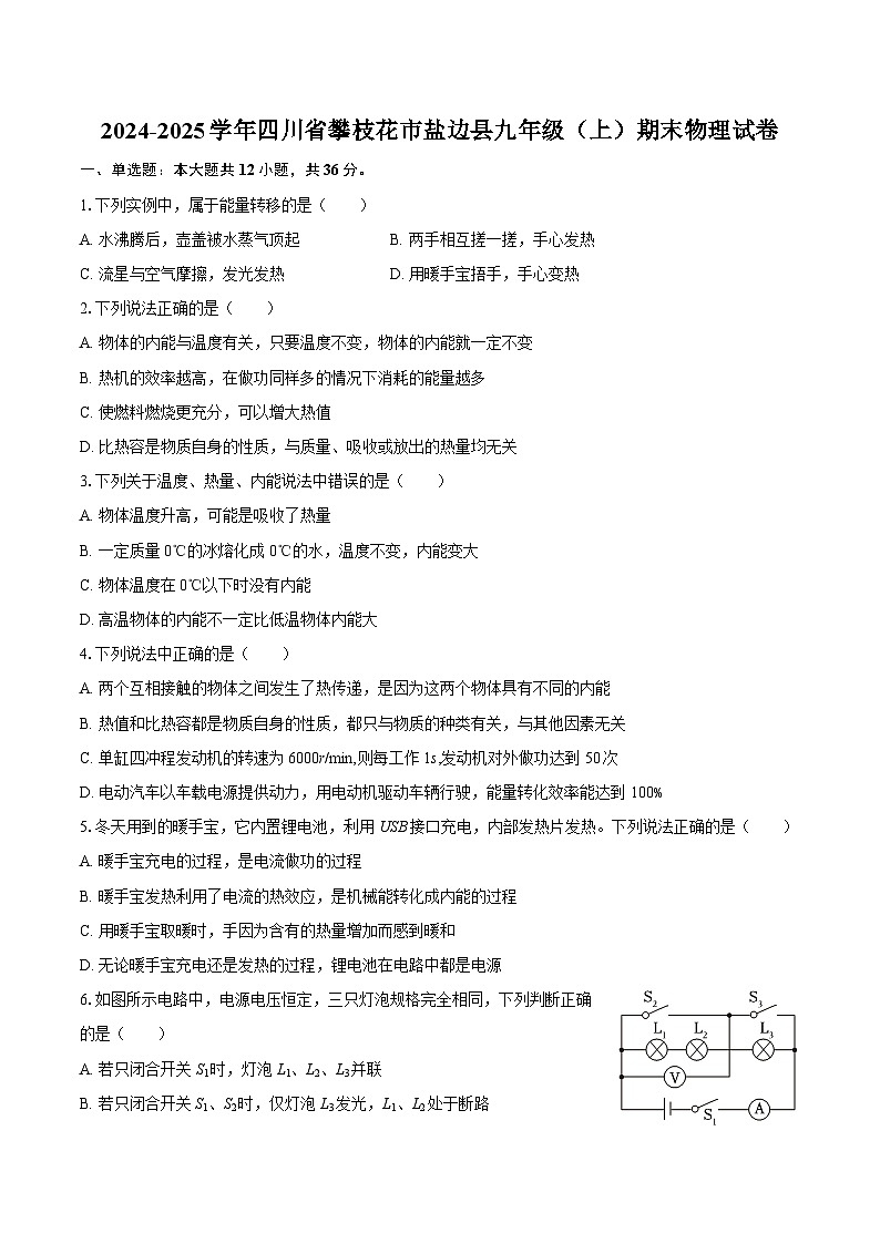 2024-2025学年四川省攀枝花市盐边县九年级（上）期末物理试卷-自定义类型第1页