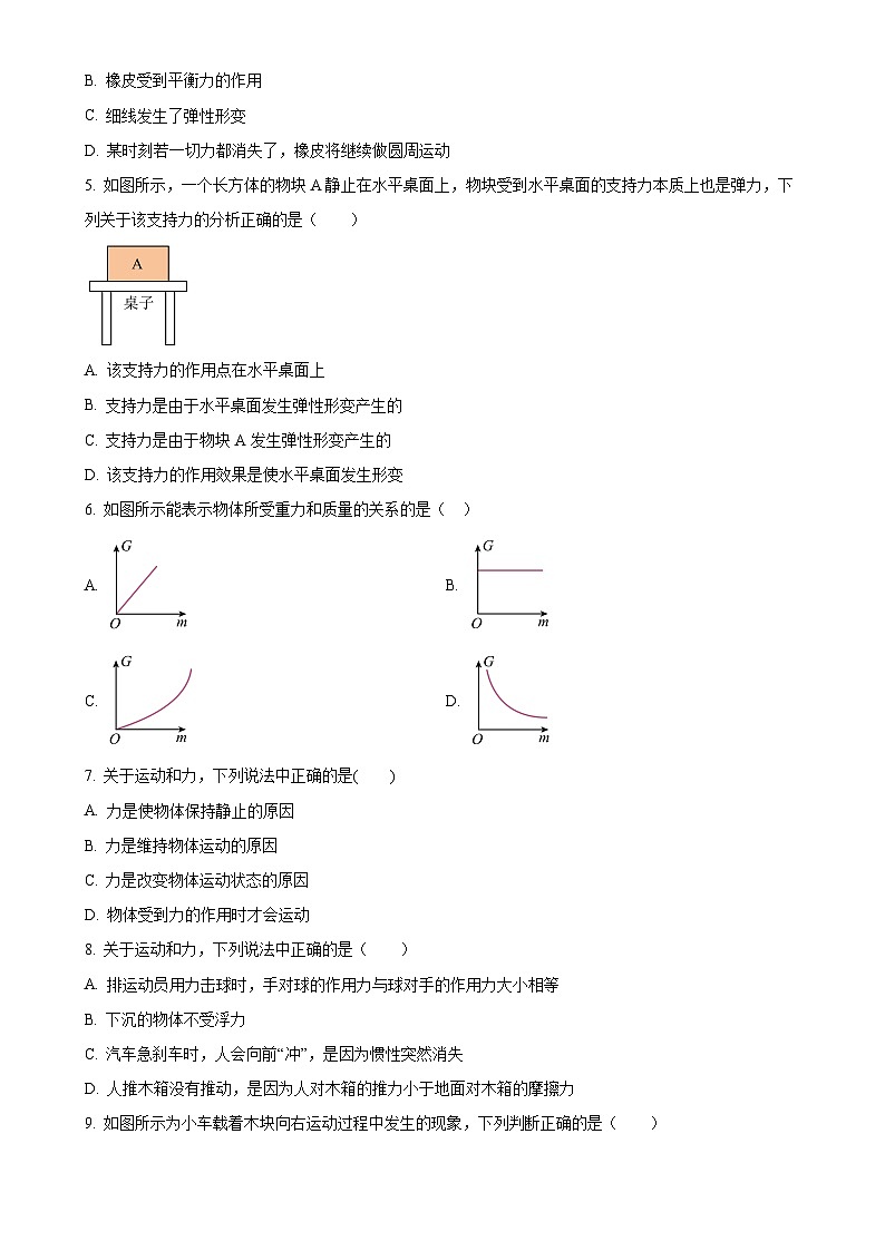 甘肃省武威市凉州区武威第五中学教研联片月质量检测八年级下学期3月月考物理试题（原卷版）-A4第2页