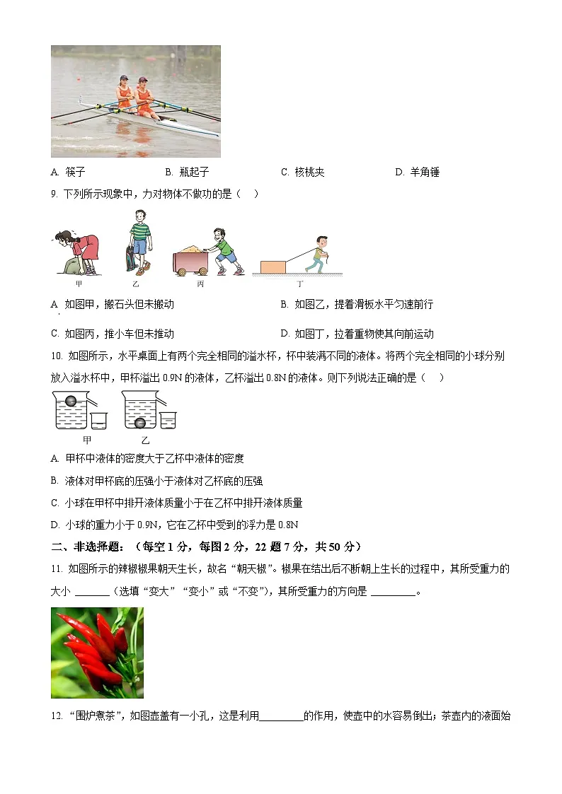 精品解析：吉林省长春市长春力旺实验初级中学2024-2025学年八年级下学期期中考试物理试题（原卷版）第3页