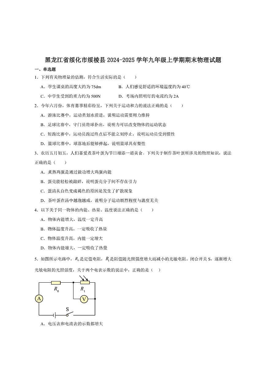 2024-2025学年黑龙江省绥化市绥棱县（五四学制）九年级上学期1月期末考试物理试卷（有答案）第1页