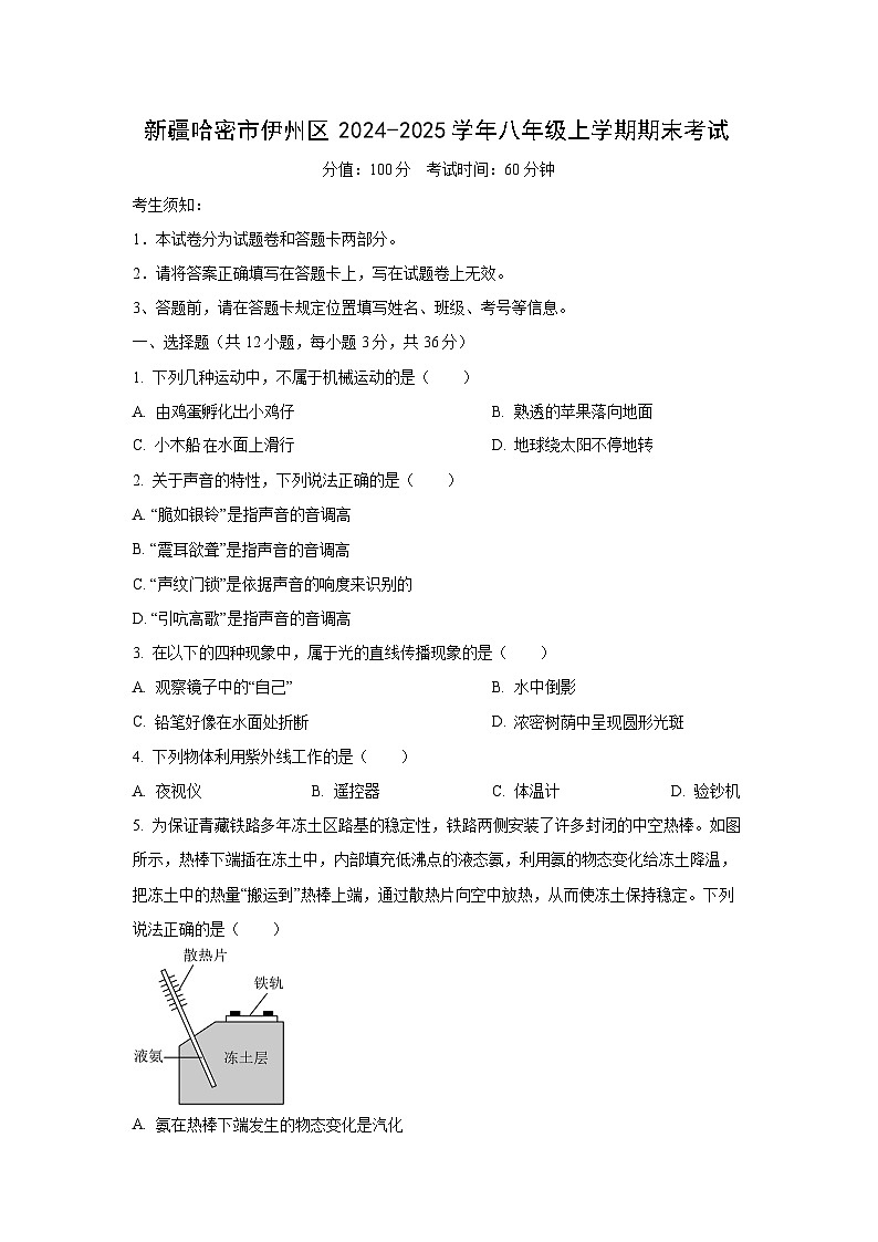 新疆哈密市伊州区2024-2025学年八年级上学期期末考试物理试卷（学生版）第1页