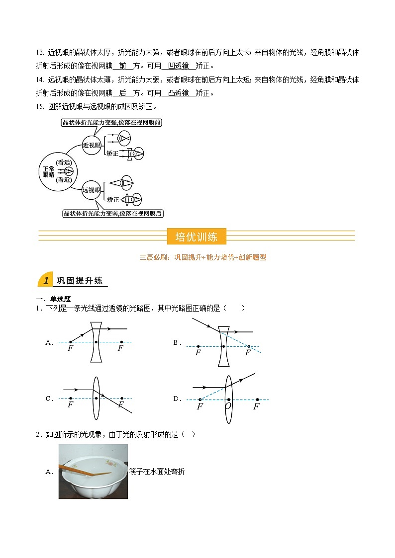 寒假作业05 透镜及其应用（巩固培优）（原卷版）第3页