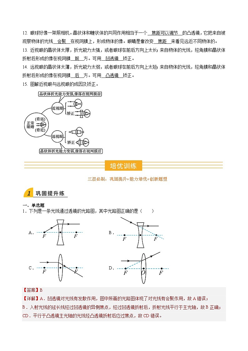 寒假作业05 透镜及其应用（巩固培优）（解析版）第3页