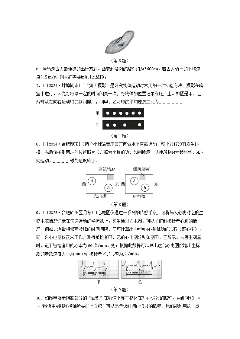 安徽省2025八年级物理上册第一章运动的世界综合素质评价试卷及答案（沪科版）第2页