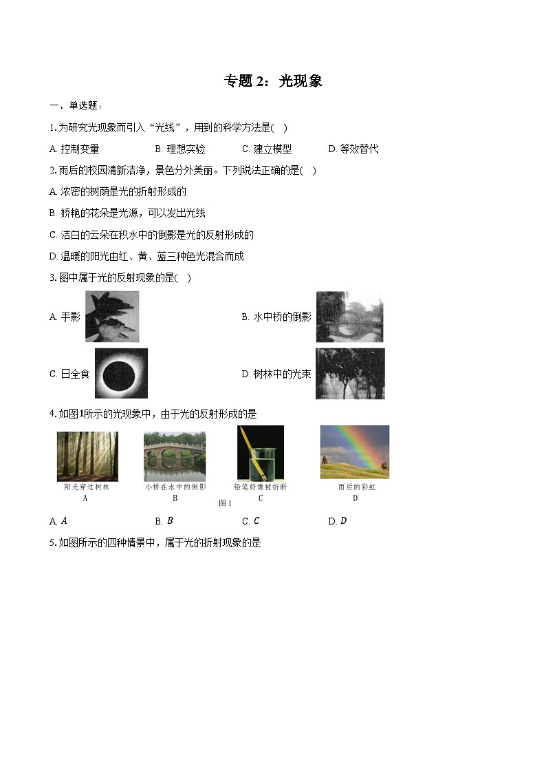 2025年上海中考物理二轮复习专题2： 光现象  练习  （含答案+解析）第1页
