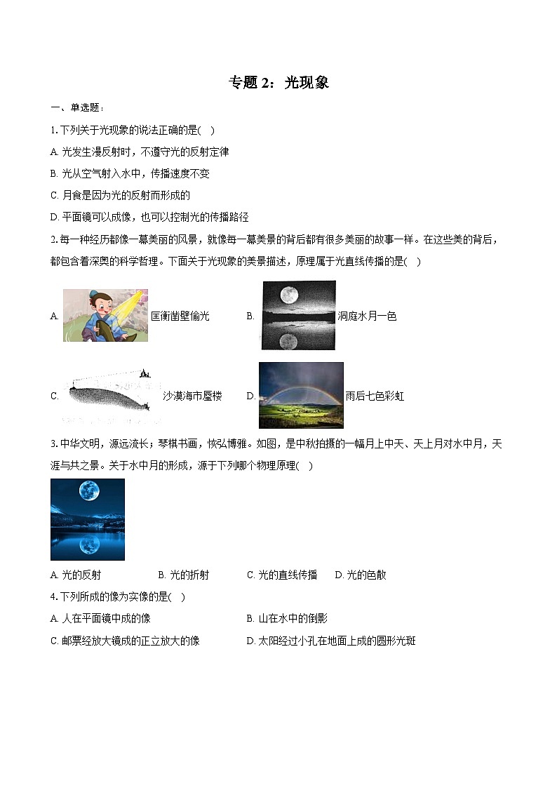 2025年中考物理二轮复习专题2：光现象  练习  （含答案+解析）第1页
