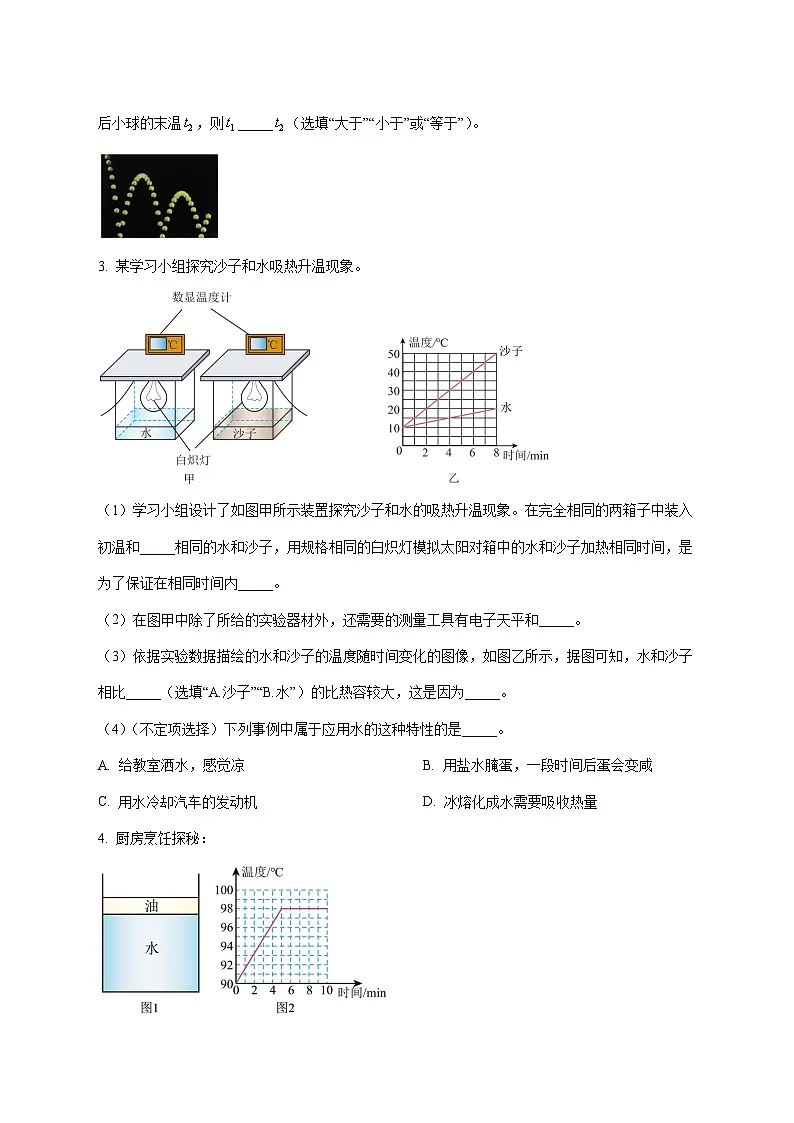 上海市民办南模2025—2026学年九年级上册12月月考物理试题【附答案】第2页