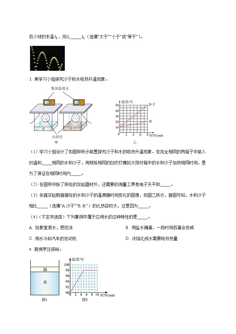 上海市民办南模2025—2026学年九年级上册12月月考物理试题【附答案】第2页
