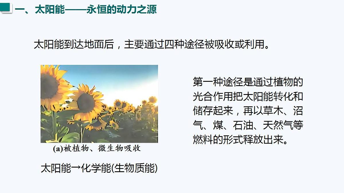 17827789第5页