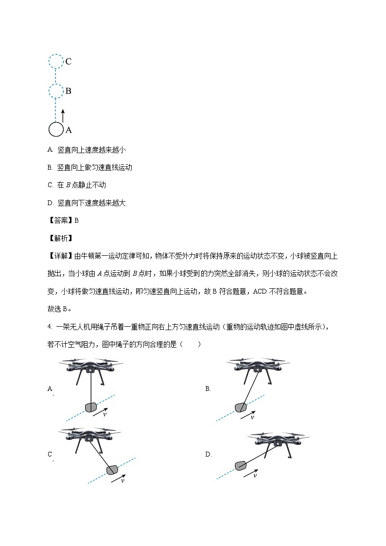 广东省广州大学附属中学2025-2026学年八年级上学期奥班期中物理试题（附解析）第3页