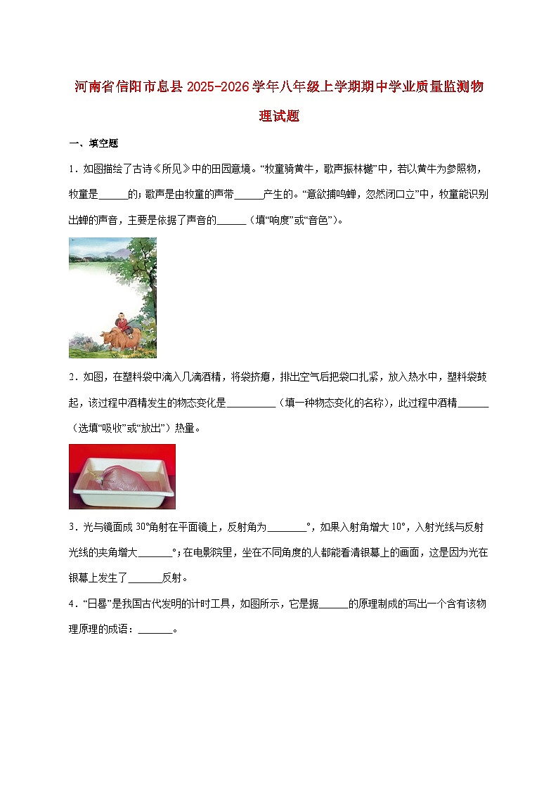 河南省信阳市息县2025-2026学年八年级上学期11月期中考试物理试题（附答案）第1页