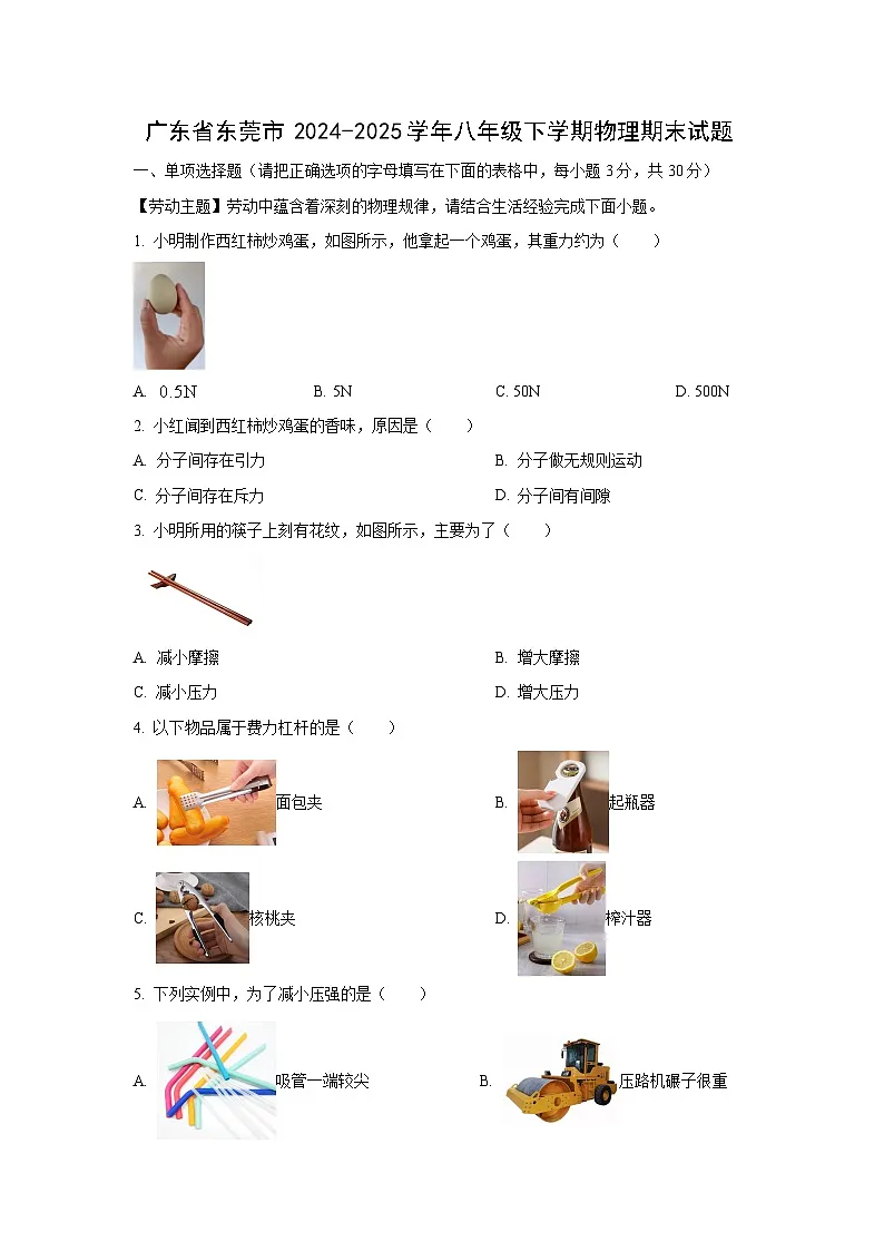 2024-2025学年广东省东莞市八年级下学期物理期末物理试卷（学生版）第1页