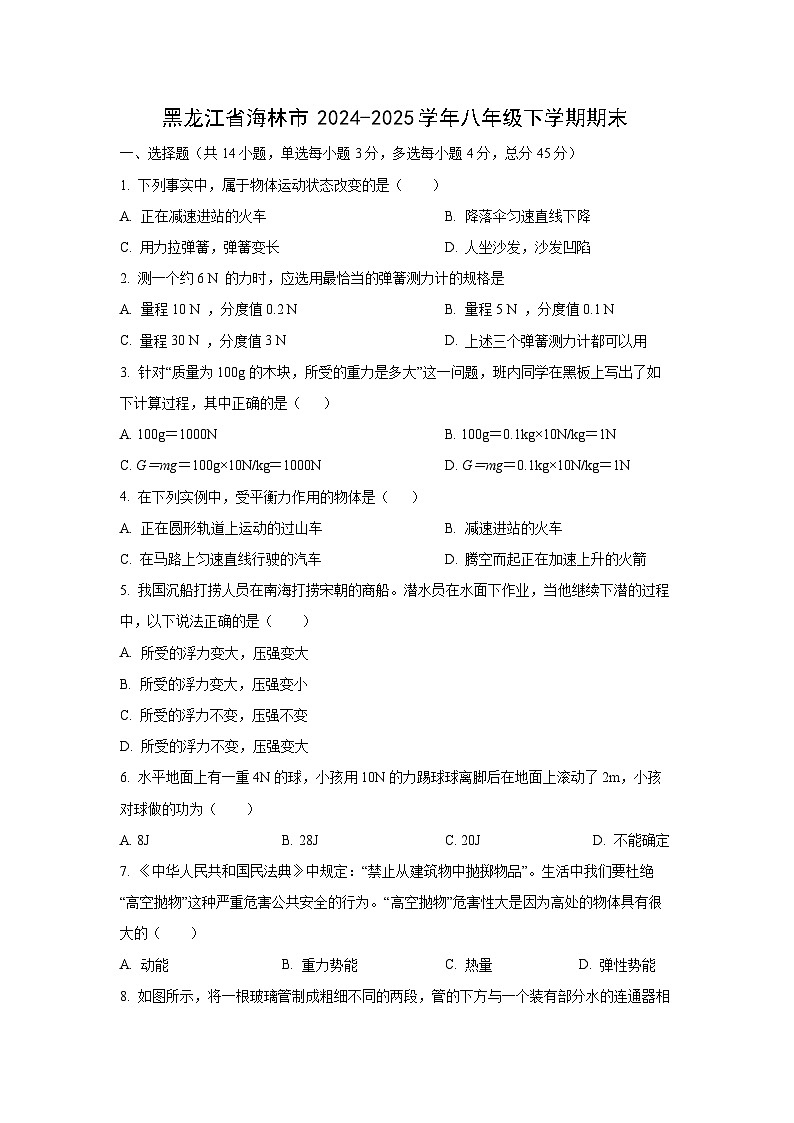 2024-2025学年黑龙江省海林市八年级下学期期末物理试卷（学生版）第1页