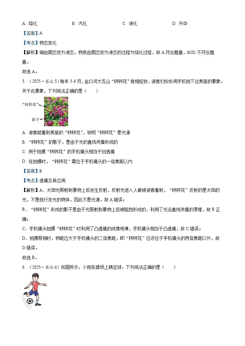 2025年四川省乐山市中考物理真题试卷（Word版附解析）第3页