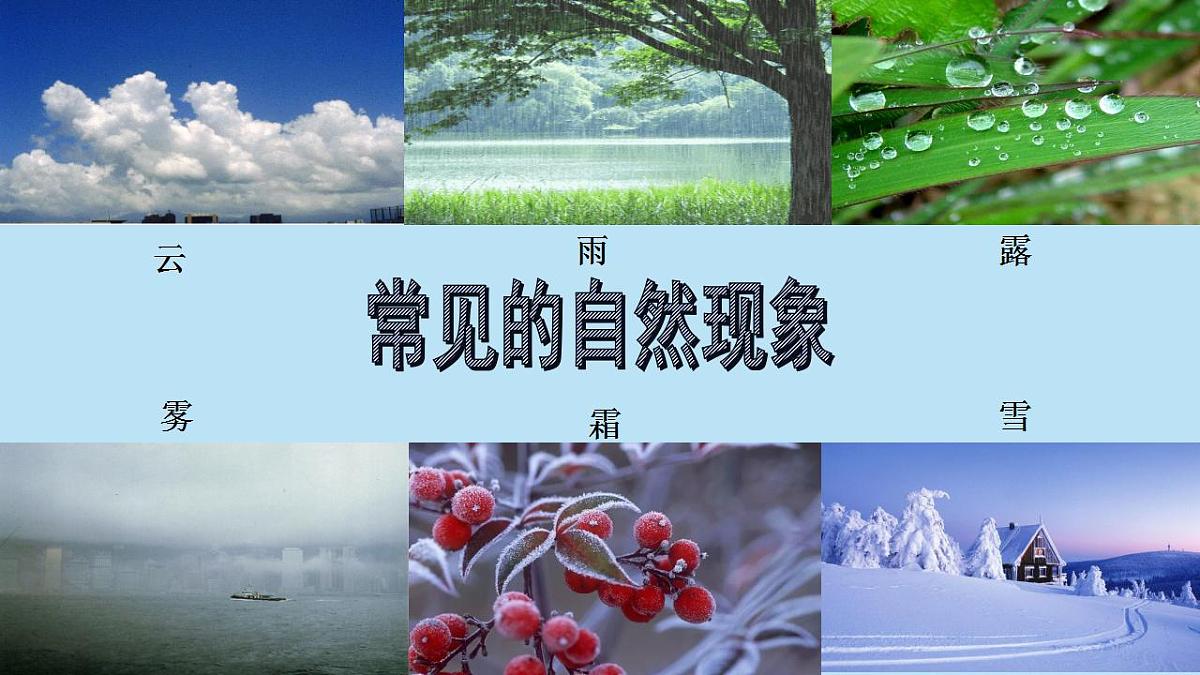 17831099第3页