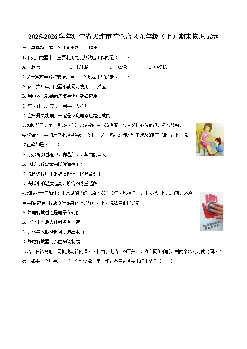 2025-2026学年辽宁省大连市普兰店区九年级（上）期末物理试卷-自定义类型第1页