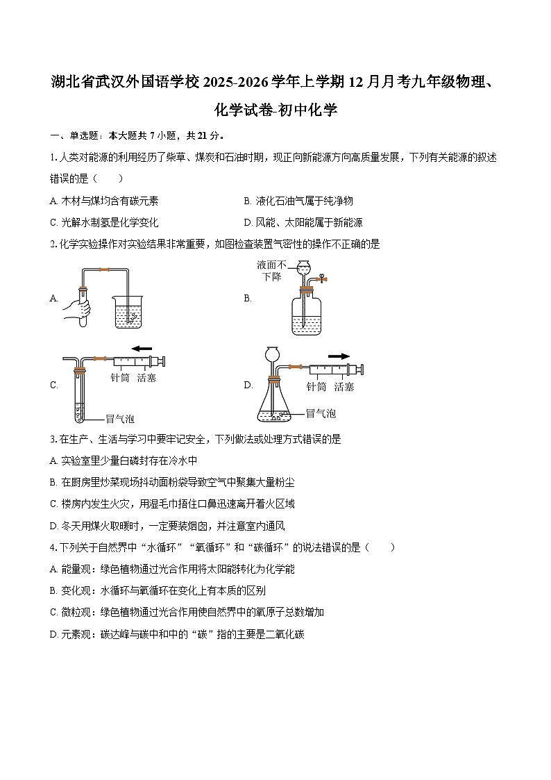 湖北省武汉外国语学校2025-2026学年上学期12月月考九年级物理、化学试卷-初中化学-自定义类型第1页