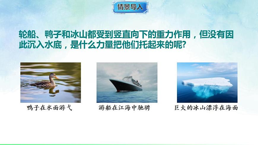 17843017第2页