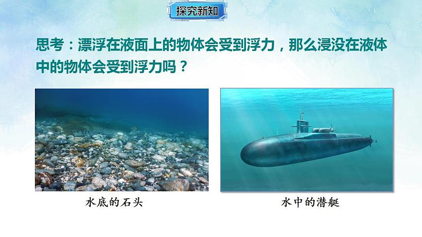 17843017第5页