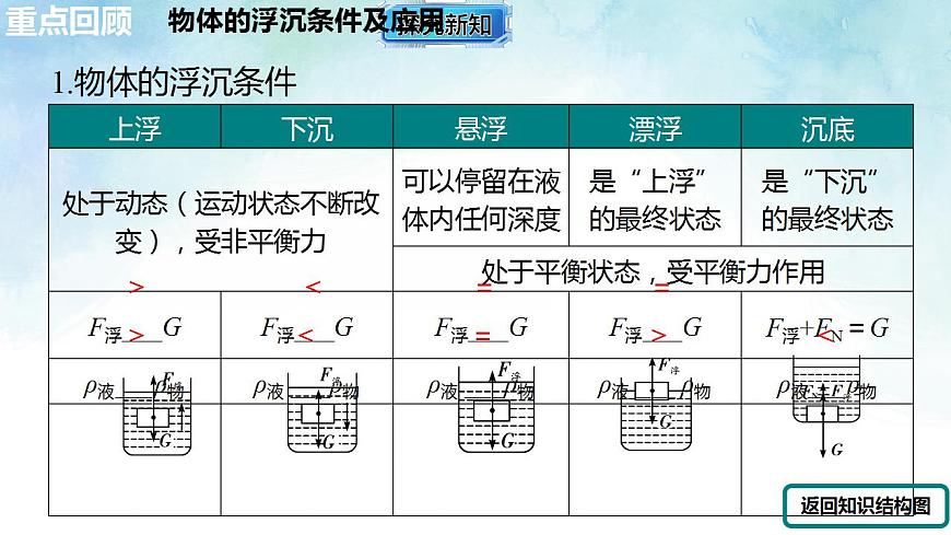 17843018第6页