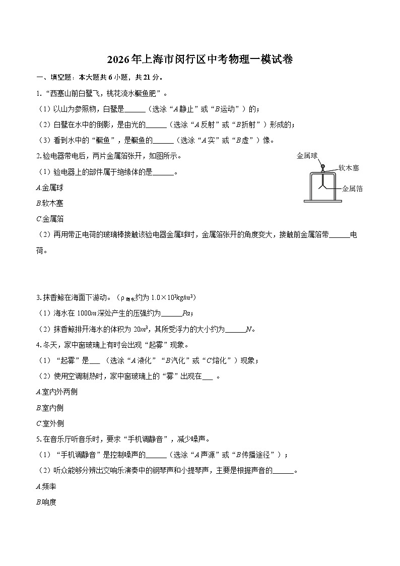 2026年上海市闵行区中考物理一模试卷-自定义类型第1页