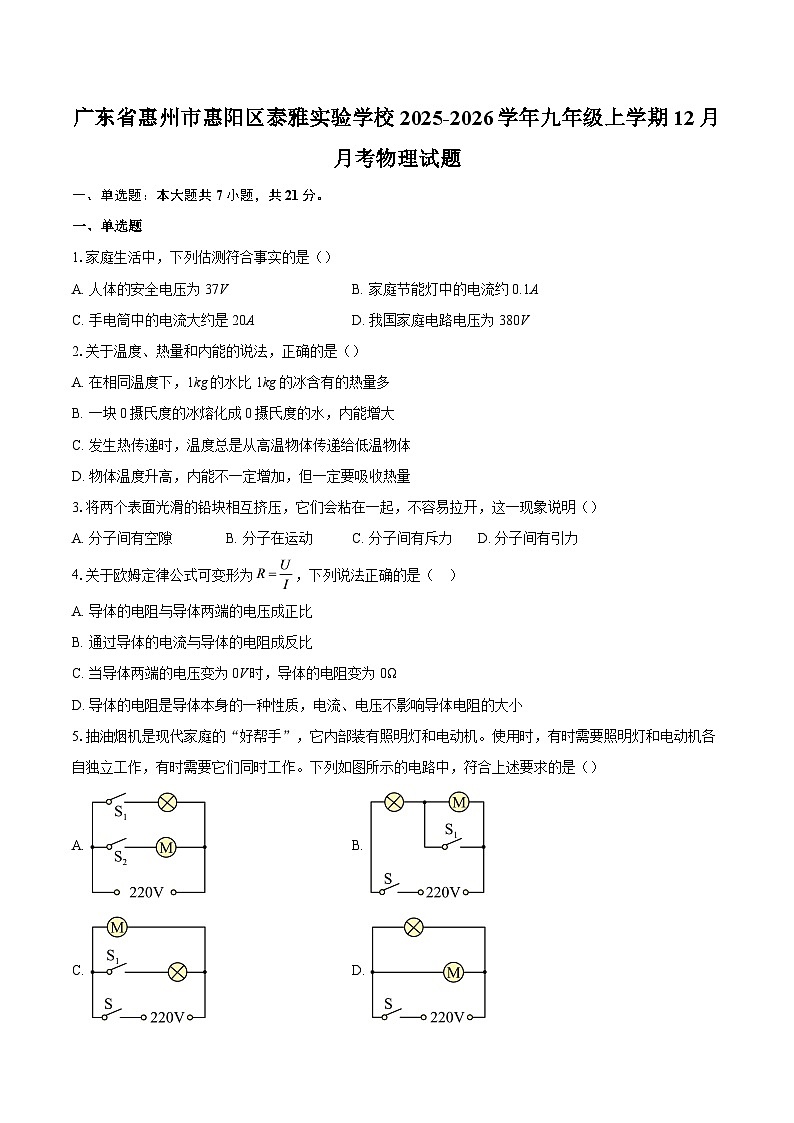 广东省惠州市惠阳区泰雅实验学校2025-2026学年九年级上学期12月月考物理试题-自定义类型第1页