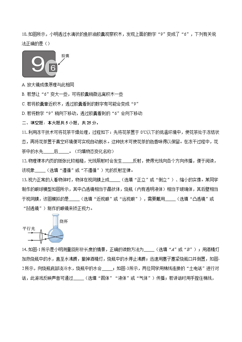 陕西省榆林市定边县2025-2026学年八年级上学期1月期末物理试题-自定义类型第3页