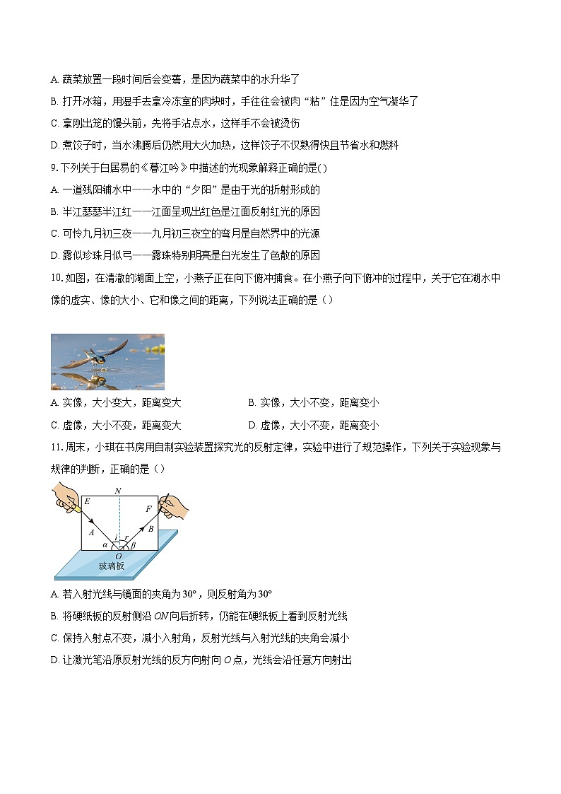 山东省聊城市茌平县茌山平区2025-2026学年八年级上学期期末物理试题-自定义类型第3页