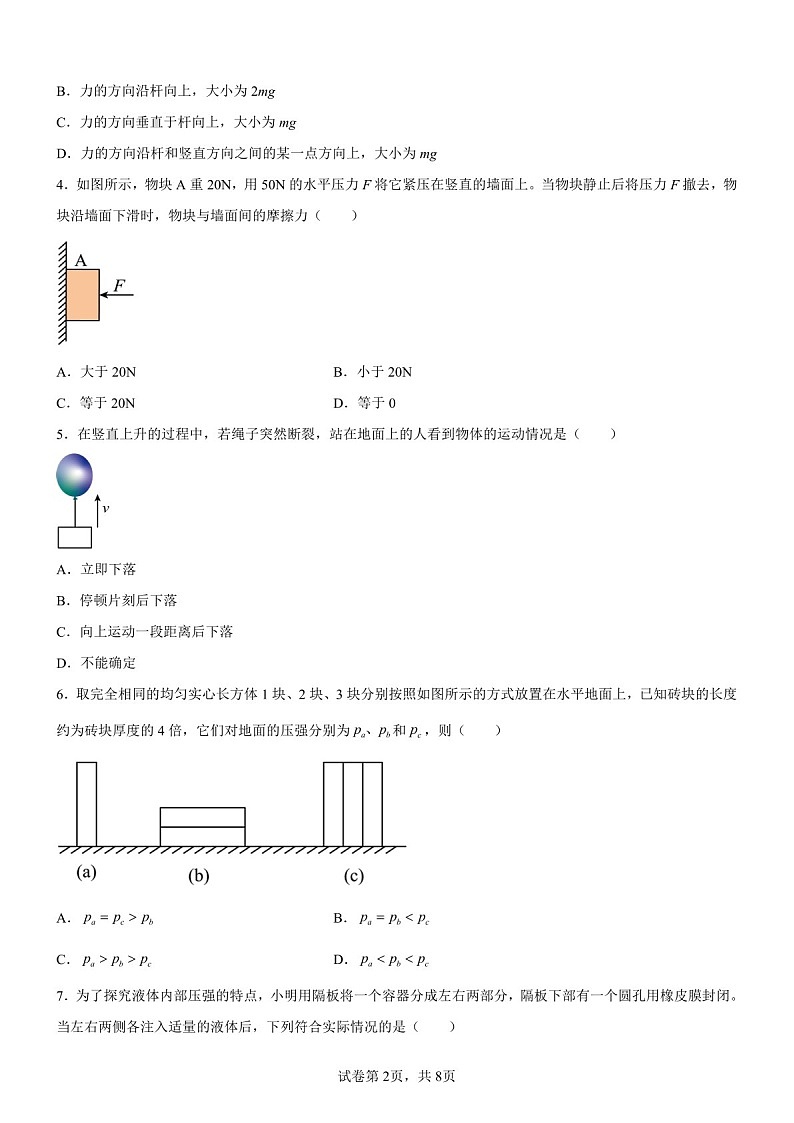 广东省广州市广州大学附中2024-2025学年八年级下学期期中物理试题（含答案）第2页