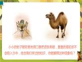 8.1 压强 课件-2025-2026学年沪粤版物理八年级下学期