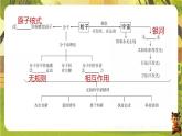 第十二章 小粒子与大宇宙【章末复习】（课件）--沪科版（新教材）八年级物理全一册下册