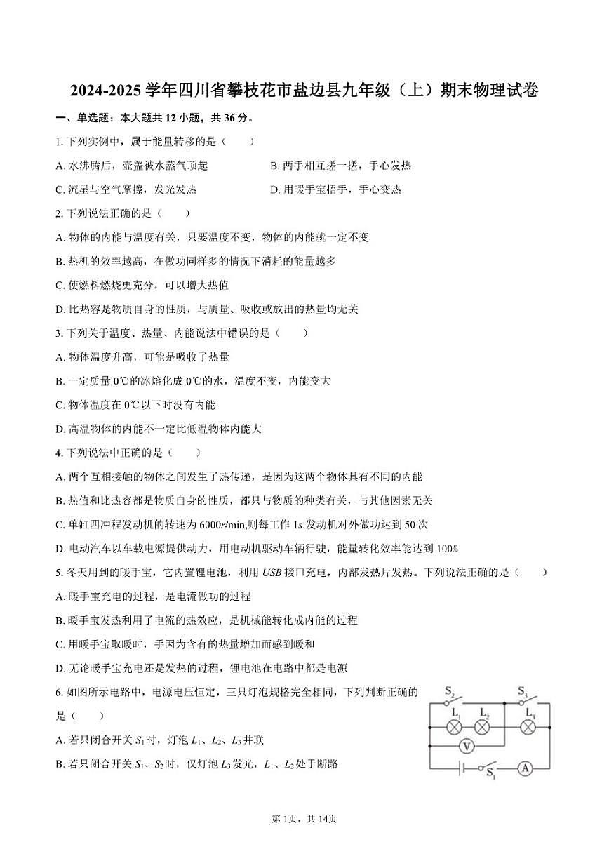 四川省攀枝花市盐边县2024-2025学年九年级（上）期末物理试卷（含答案）第1页