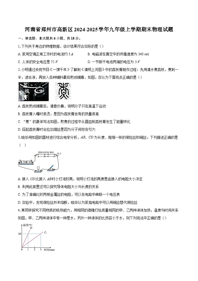 河南省郑州市高新区2024-2025学年九年级上学期期末物理试题-自定义类型第1页