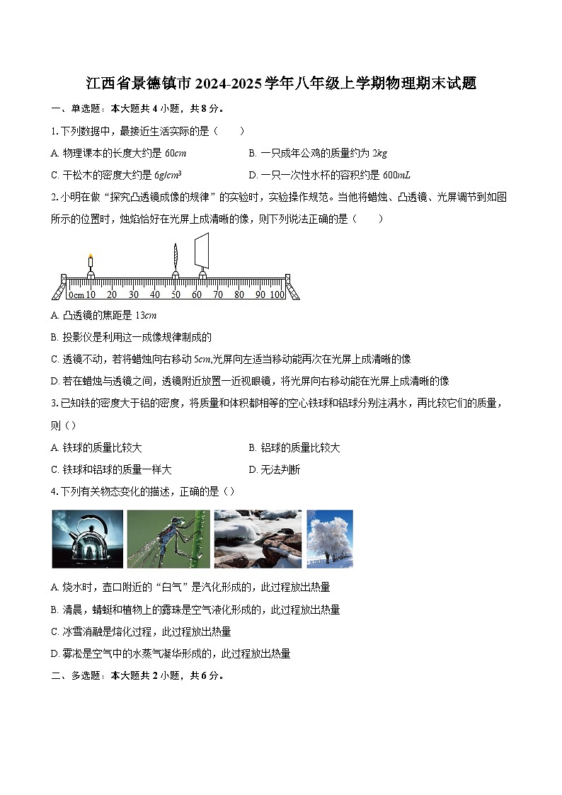江西省景德镇市2024-2025学年八年级上学期物理期末试题-自定义类型第1页