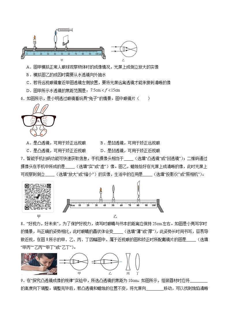 寒假讲义05 凸透镜成像规律及其应用（巩固培优）（原卷版）第3页