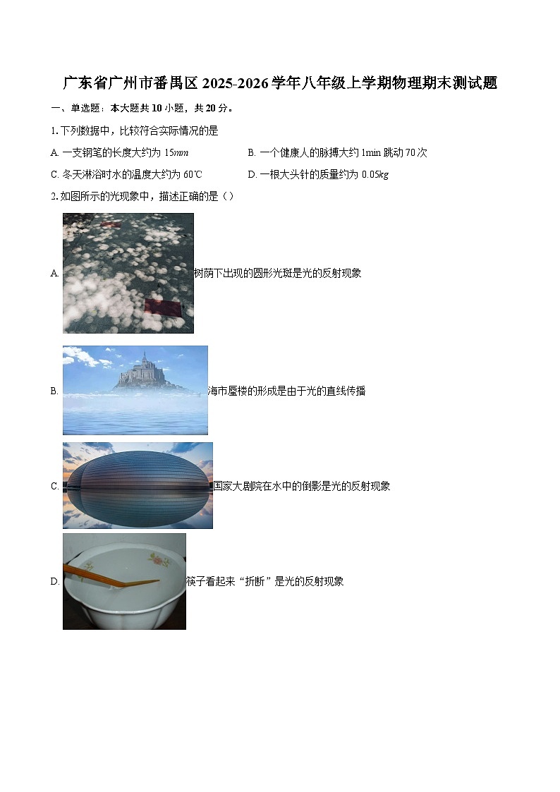 广东省广州市番禺区2025-2026学年八年级上学期物理期末测试题-自定义类型第1页