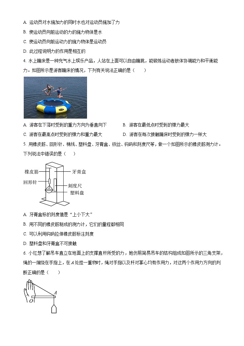 广东省深圳市龙岗区龙城高级中学（教育集团）龙城初级中学八年级下学期期中考试物理试题（原卷版）-A4第2页