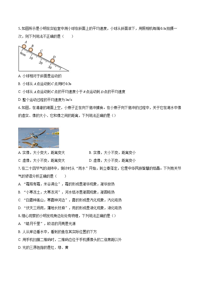 四川省达州市渠县2025-2026学年八年级上学期1月期末物理试题-自定义类型第2页