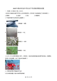 2025年陕西省初中学业水平考试物理模拟试题（含答案）