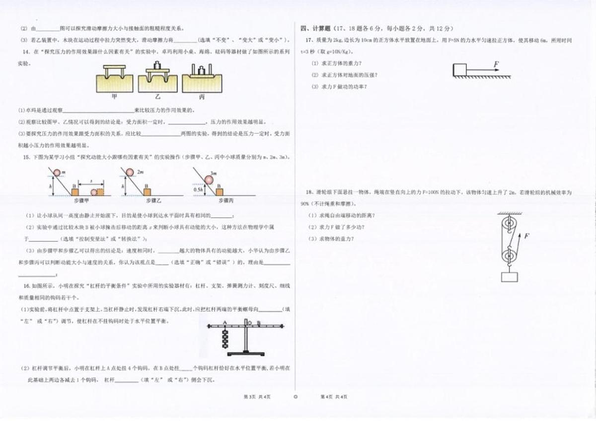 西藏自治区昌都市2024-2025学年八年级下学期期末质量监测物理试卷（含答案）第2页