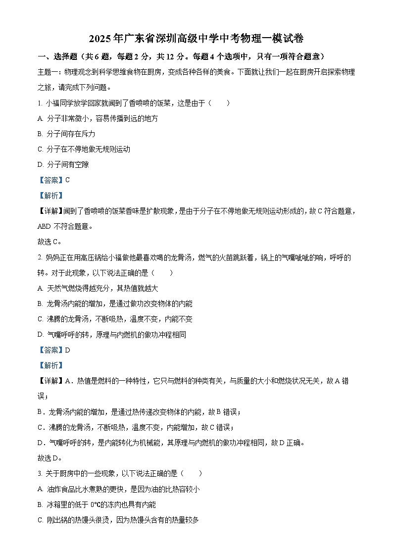 2025年广东省深圳市高级中学中考一模物理试题（解析版）-A4第1页