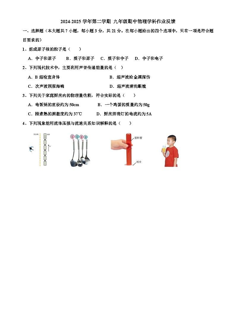 广东省珠海部分学校九年级下学期期中考试物理试题-A4第1页
